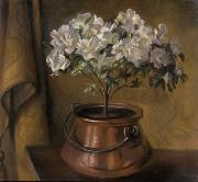 unknow artist Fanny Inama von Sternegg 1927, Blumenstock in Kupferkessel Spain oil painting artist